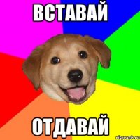 вставай отдавай