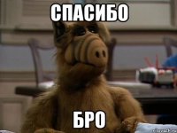 спасибо бро