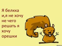 Я белкка и,я не хочу не чего решать я хочу орешки