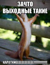 зачто выходные такие кароткиееееееееееее!!!