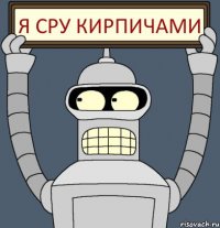 Я сру кирпичами