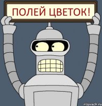 полей цветок!