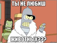 ты не любиш животных???