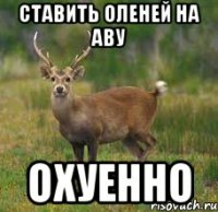 ставить оленей на аву охуенно