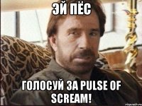 эй пёс голосуй за pulse of scream!