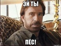 эй ты пёс!