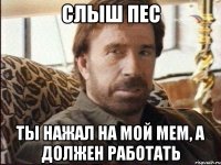слыш пес ты нажал на мой мем, а должен работать