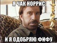 я чак норрис и я одобряю фифу