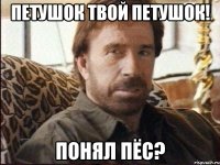 петушок твой петушок! понял пёс?