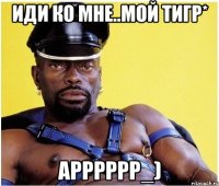 иди ко мне..мой тигр* арррррр_)