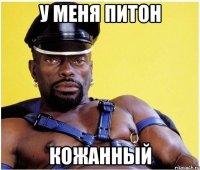 у меня питон кожанный