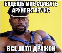 будешь мне сдавать архитектуру кс все лето дружок