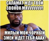 саламат жду твой звонок мяууууууу! милый мой чорный змей ждет тебя ааах!