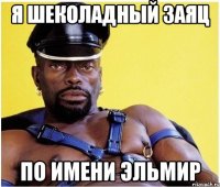 я шеколадный заяц по имени эльмир