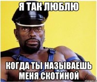 я так люблю когда ты называешь меня скотиной