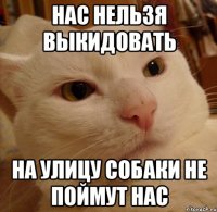 нас нельзя выкидовать на улицу собаки не поймут нас