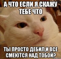 а что если я скажу тебе что ты просто дебил,и все смеются над тобой?