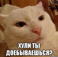  хули ты доёбываешься?