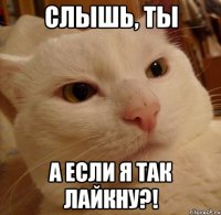 слышь, ты а если я так лайкну?!