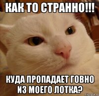 как то странно!!! куда пропадает говно из моего лотка?