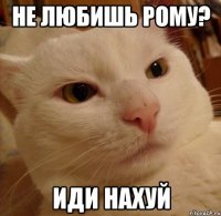 не любишь рому? иди нахуй