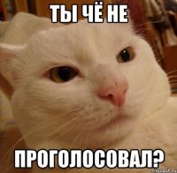 ты чё не проголосовал?