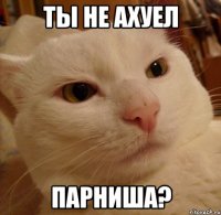 ты не ахуел парниша?