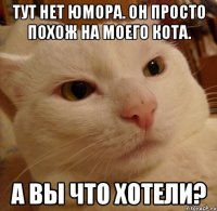 тут нет юмора. он просто похож на моего кота. а вы что хотели?