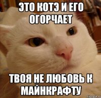 это котэ и его огорчает твоя не любовь к майнкрафту