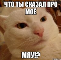 что ты сказал про моё мяу!?