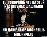 ты говоришь что на этой неделе у нас шашлыки но даже не объясняешь мне ничего