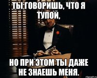 ты говоришь, что я тупой, но при этом ты даже не знаешь меня.