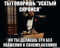 ты говоришь "усатый скройся" но ты делаешь это без уважения к своему хозяину