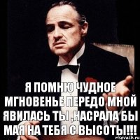 Я помню чудное мгновенье передо мной явилась ты ,насрала бы мая на тебя с высоты!!!