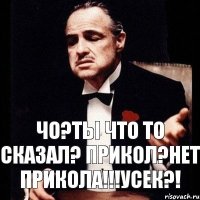 Чо?Ты что то сказал? прикол?нет прикола!!!усек?!