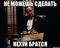 не можешь сделать нехуй братся