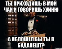 ты приходишь в мой чаи и говоришь хуйню а не пошел бы ты в будапешт?