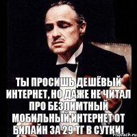 Ты просишь дешёвый интернет, но даже не читал про безлимтный мобильный интернет от Билайн за 29 тг в сутки!