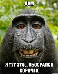 дим я тут это... обосрался короче((