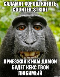 саламат хорош катать counter-strike приезжай к нам дамой будет кекс твой любимый