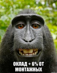  оклад + 6% от монтажных