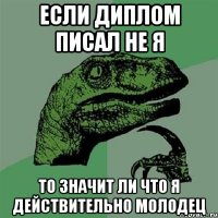 если диплом писал не я то значит ли что я действительно молодец