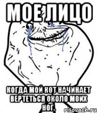 мое лицо когда мой кот начинает вертеться около моих ног.