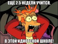 ещё 2.5 недели учится, в этой идиотской школе!