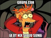 grupa coh ia ot nix sxaju suma