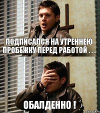 Подписался на утреннею пробежку перед работой . . . Обалденно !