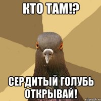 кто там!? сердитый голубь открывай!