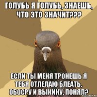 голубь я голубь, знаешь, что это значит??? если ты меня тронешь я тебя отлелаю блеать, обосру и выкину, понял?