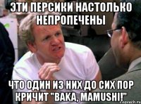 эти персики настолько непропечены что один из них до сих пор кричит "baka, mamushi!"