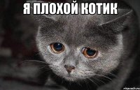 я плохой котик 